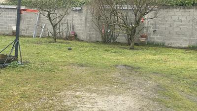 Appartement - 186 m² - 5 pièces