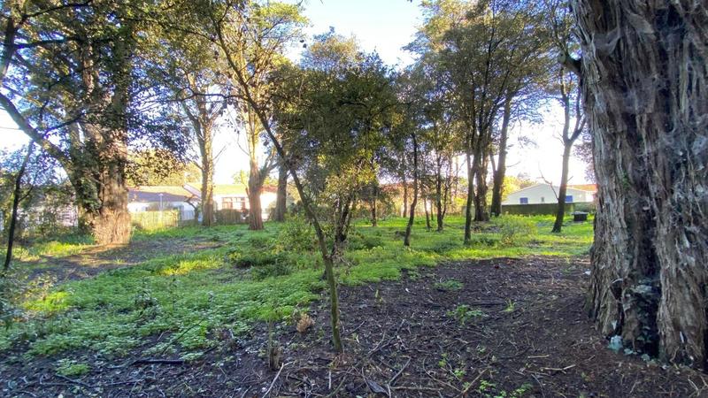 Terrain constructible - 2 000 m²
