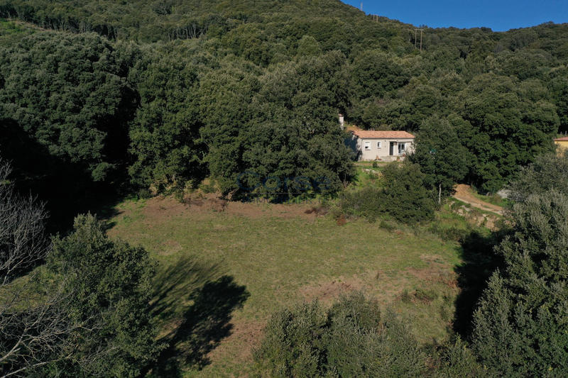 Terrain - 1 300 m²