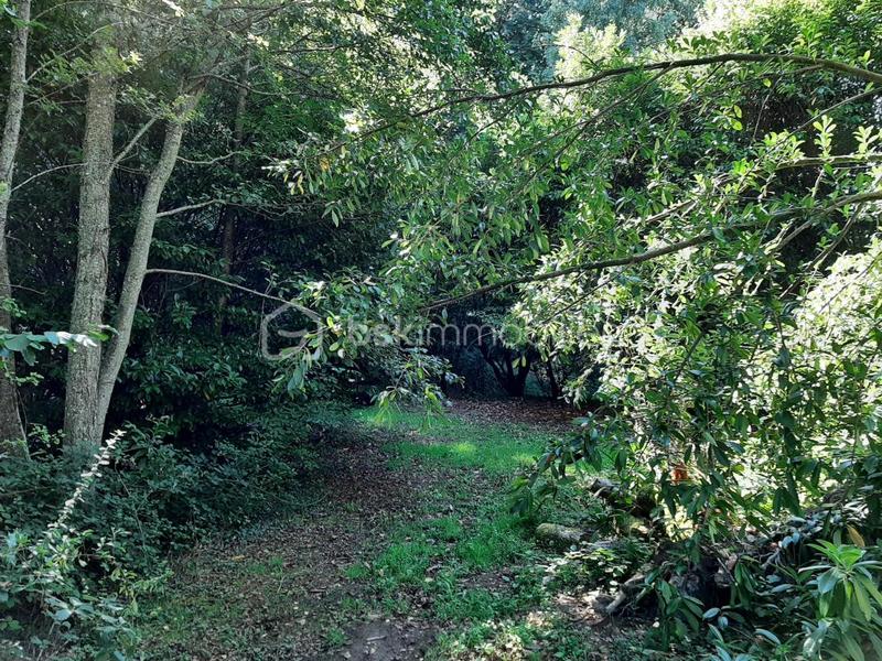 Terrain de loisirs - 9 275 m²