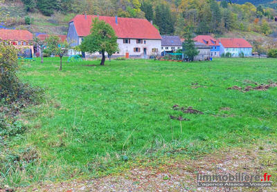 Terrain - 2 584 m²