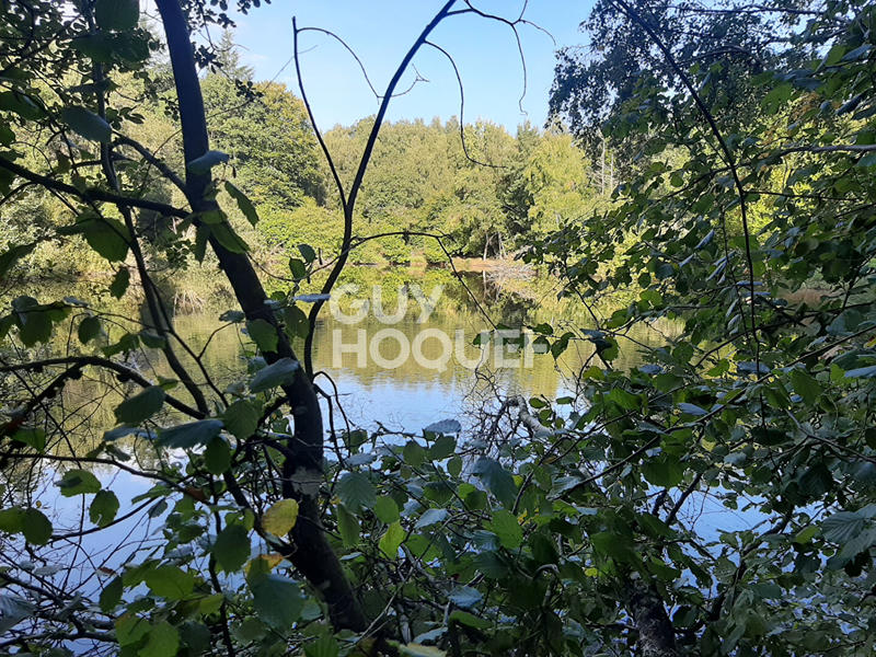 Étang - 33 670 m²