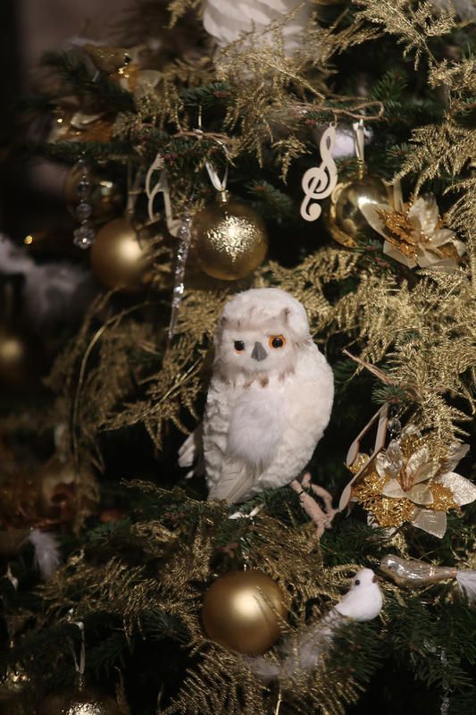 Noël au château de Langeais : un voyage musical et féérique