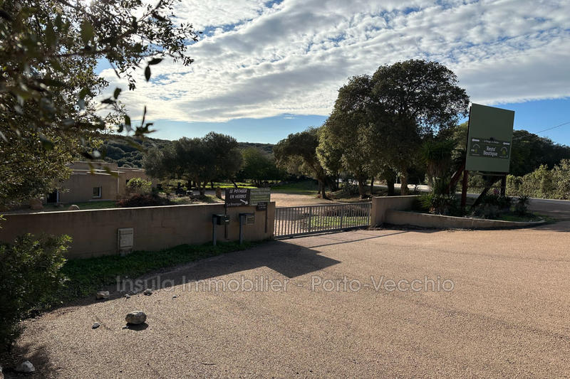 Local commercial - 30 m²