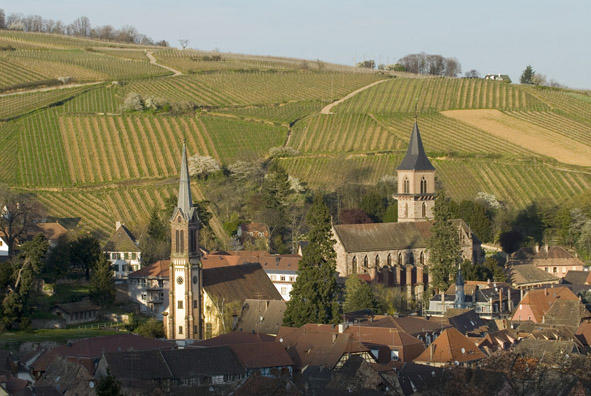Visite guidée de la cave du domaine Bott Frères