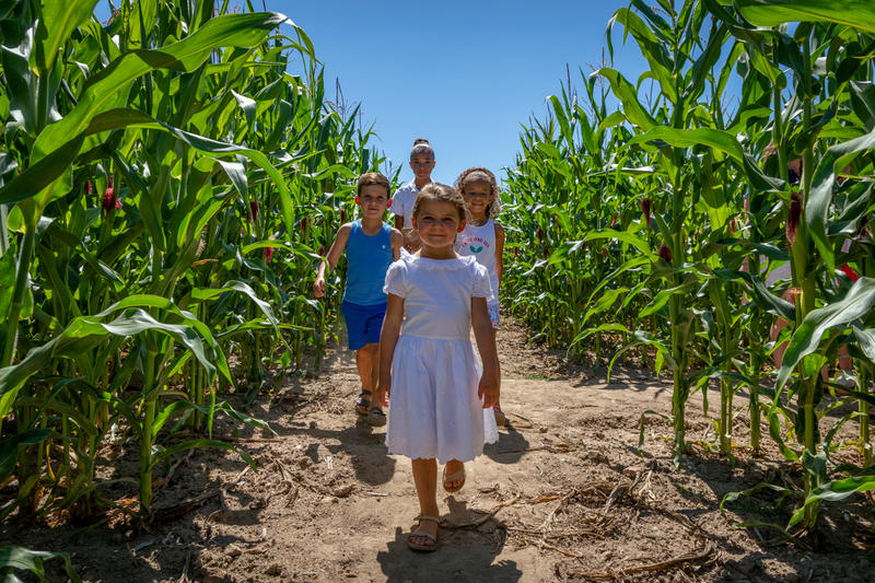 Pop Corn Labyrinthe Amiens