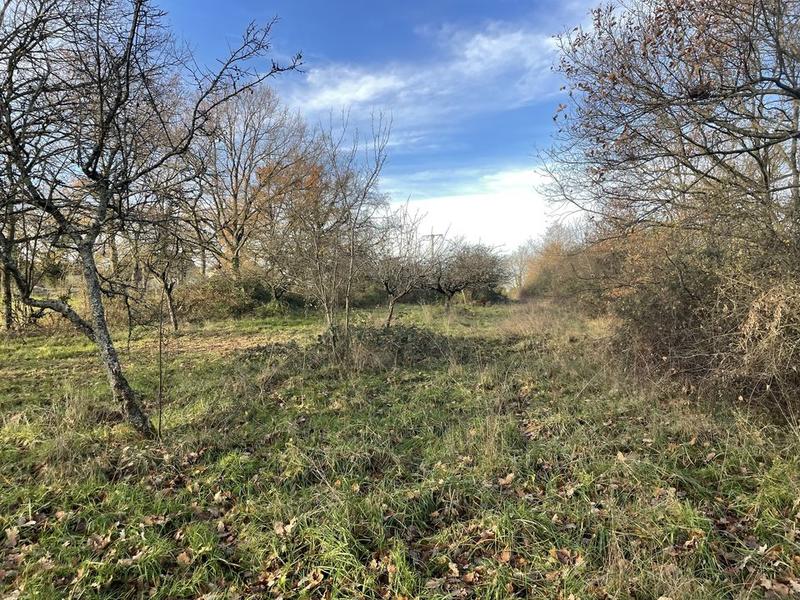 Terrain constructible - 2 960 m²