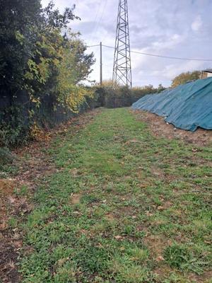 Terrain constructible - 1 450 m²