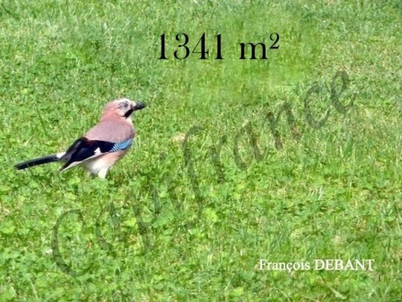 Terrain constructible - 1 341 m²