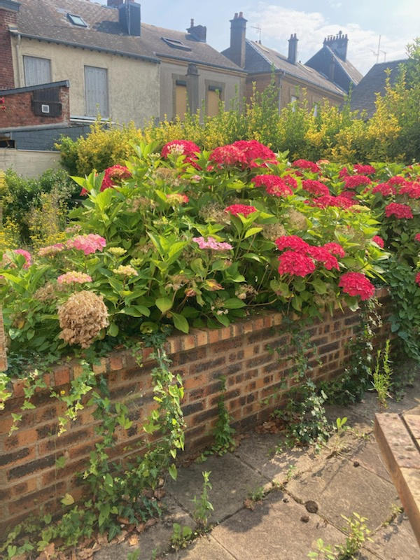 Maison - 235 m² - 10 pièces