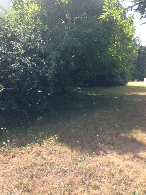 Terrain constructible - 250 m²