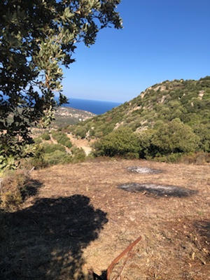 Terrain - 6 500 m²