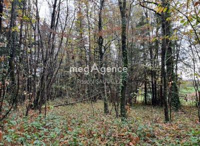 Terrain constructible - 2 850 m²
