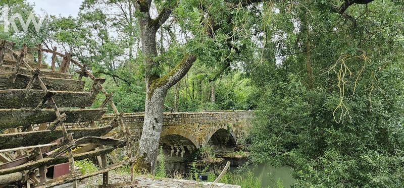 Moulin - 500 m² - 14 pièces