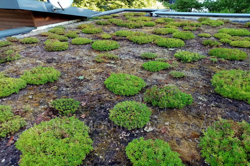 Châlet - 125 m² - 4 pièces