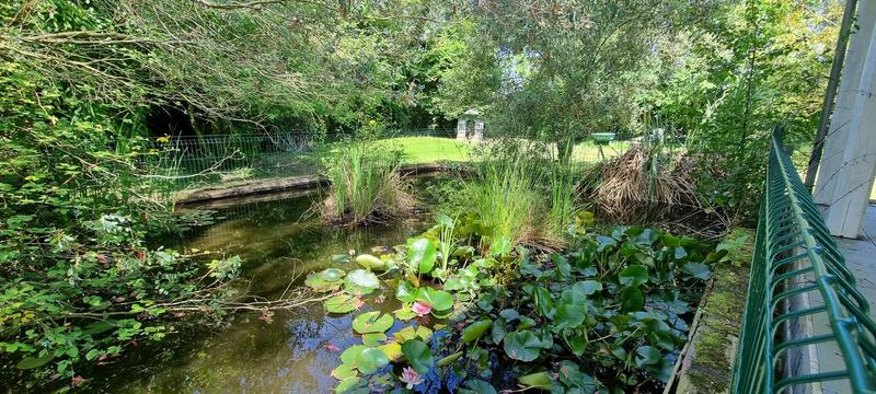 Propriété - 220 m² - 7 pièces