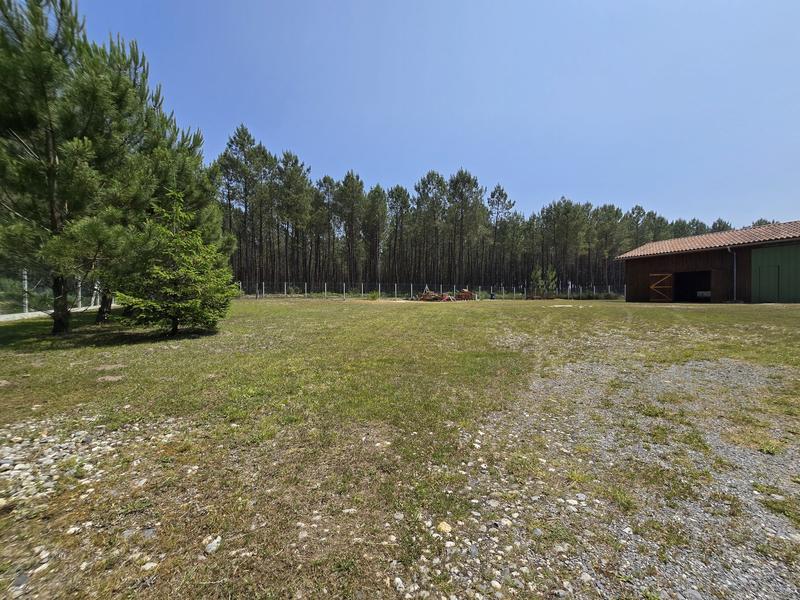 Local d'activités - 245 m²