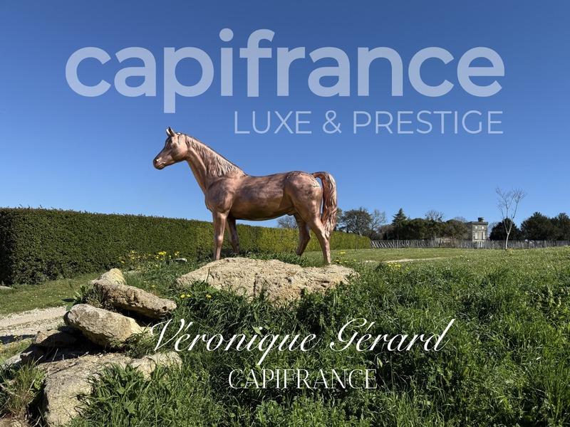 Propriété - 310 m² - 8 pièces