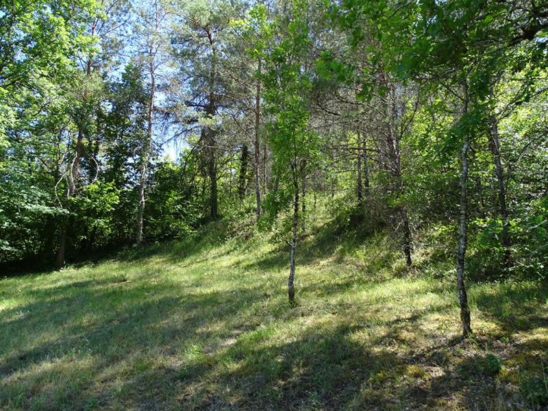 Terrain constructible - 5 770 m²