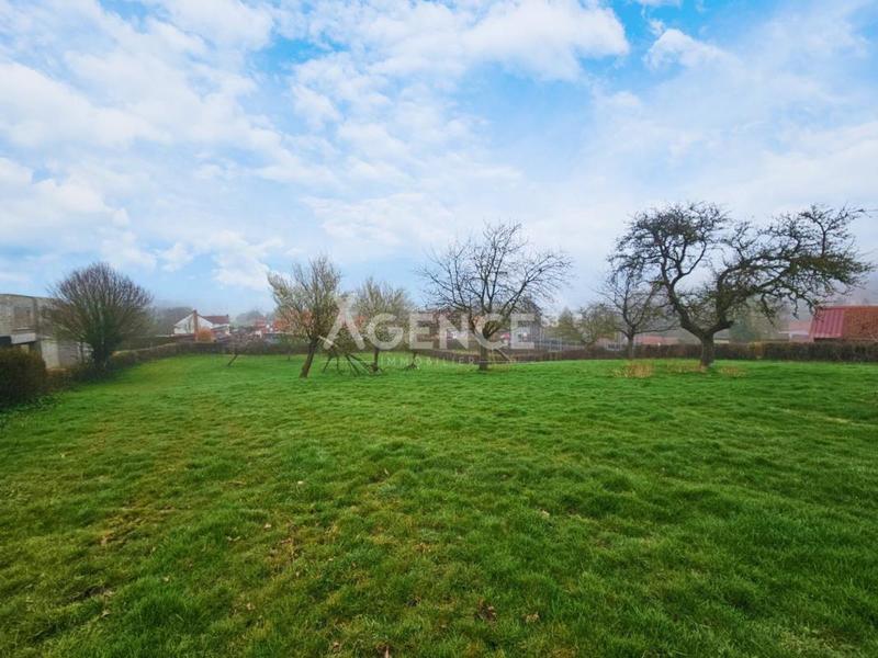 Terrain constructible