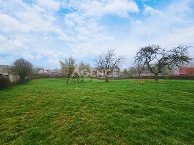 Terrain constructible