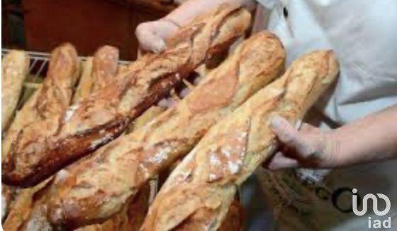 Local commercial - 600 m²