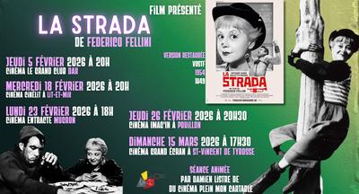 La Séance du Cinéphile