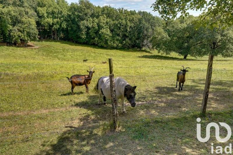 Maison de campagne - 250 m² - 5 pièces