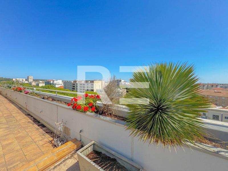 Duplex - 100 m² - 4 pièces