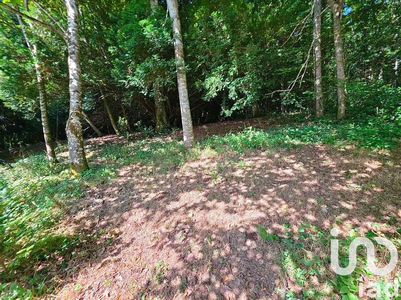 Maison de maîtres - 196 m² - 7 pièces