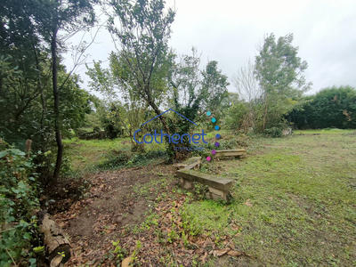 Maison ancienne - 125 m² - 5 pièces