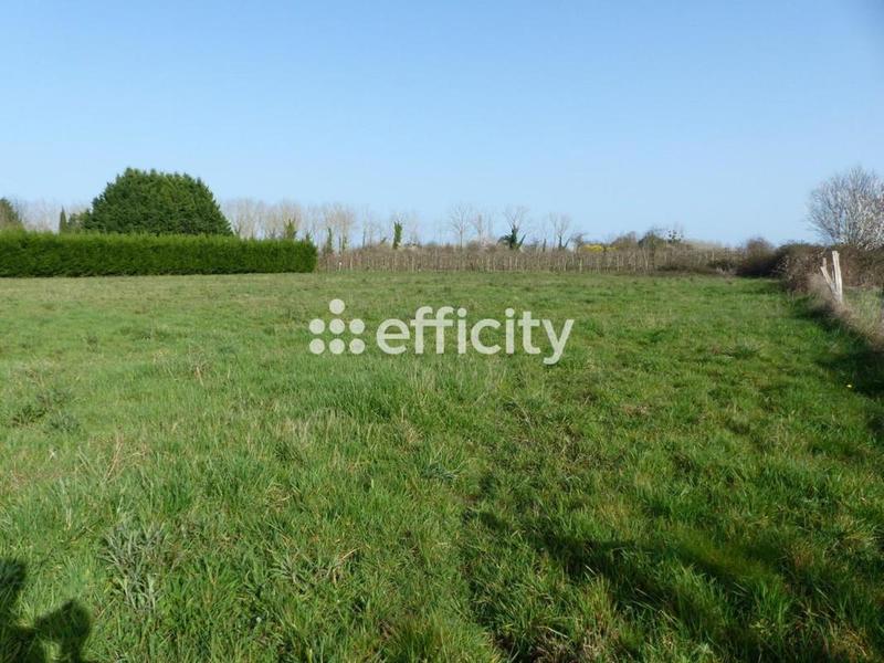Terrain - 6 910 m²