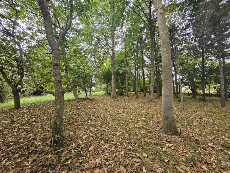 Maison - 126 m² - 6 pièces