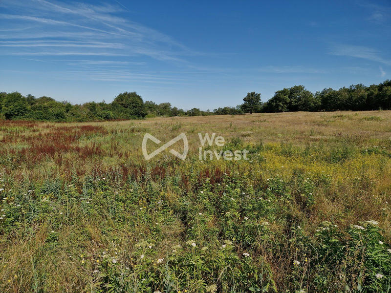 Terrain - 16 575 m²