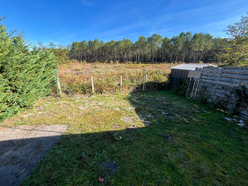 Appartement - 54 m² - 3 pièces