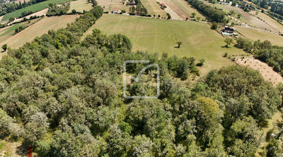 Terrain - 21 356 m²