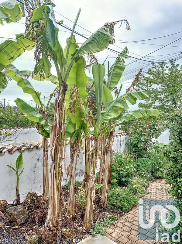 Maison de campagne - 205 m² - 7 pièces