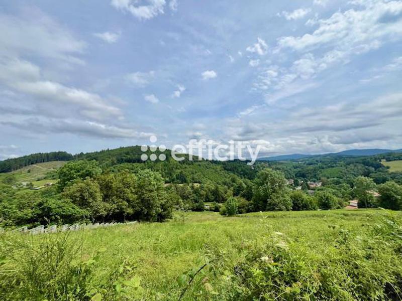 Terrain - 8 300 m²