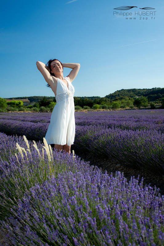 2sp - Philippe Hubert