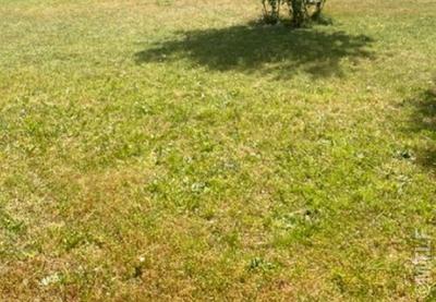 Terrain constructible - 292 m²