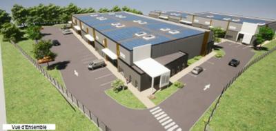 Local d'activité / Entrepôt - 150 m²