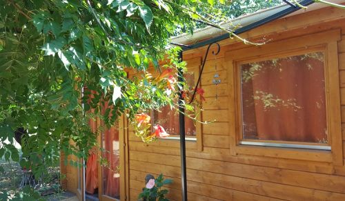 Géraldine Nicaud-Doyen