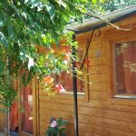 Géraldine Nicaud-Doyen