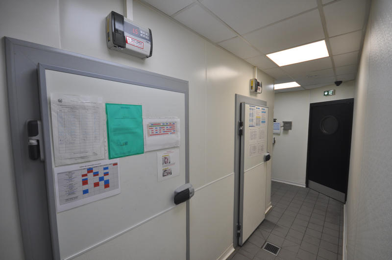 Fonds de commerce - Magasins - 290 m²