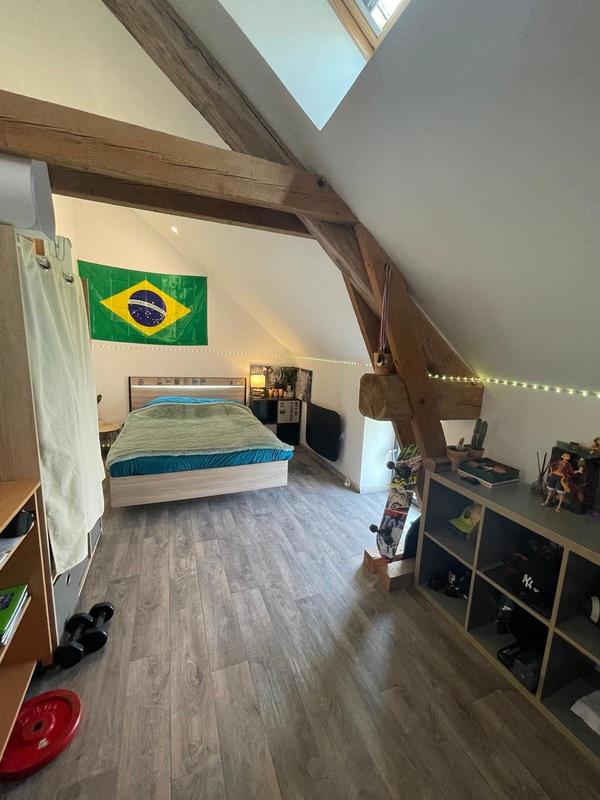 Maison ancienne - 340 m² - 12 pièces