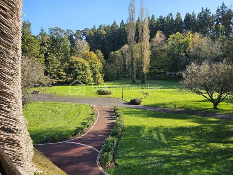 Chaumière - 470 m² - 9 pièces