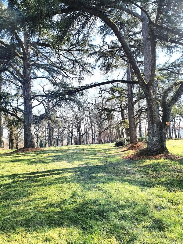 Maison - 300 m² - 10 pièces