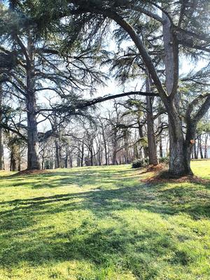 Maison - 300 m² - 10 pièces