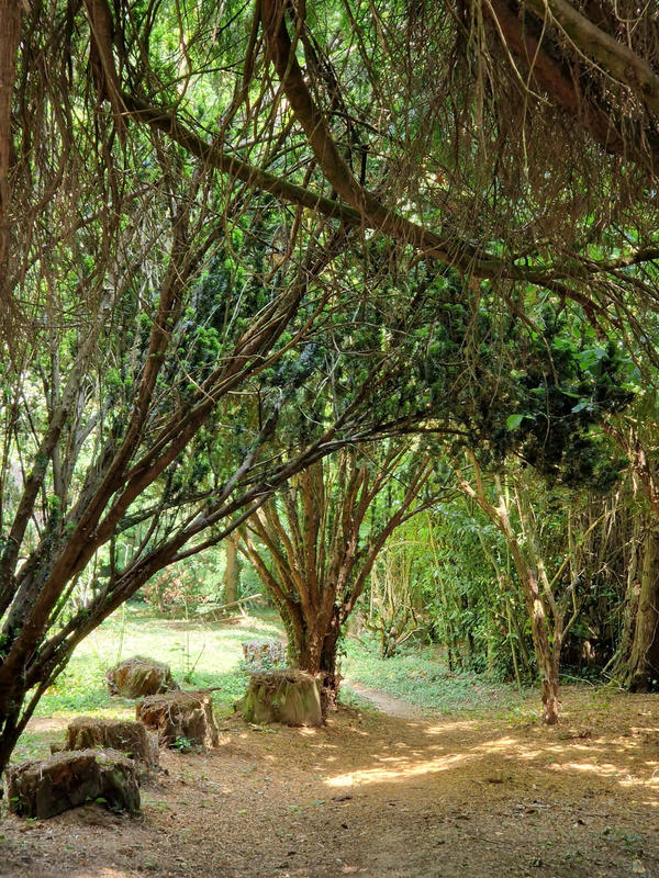 Maison - 198 m² - 9 pièces