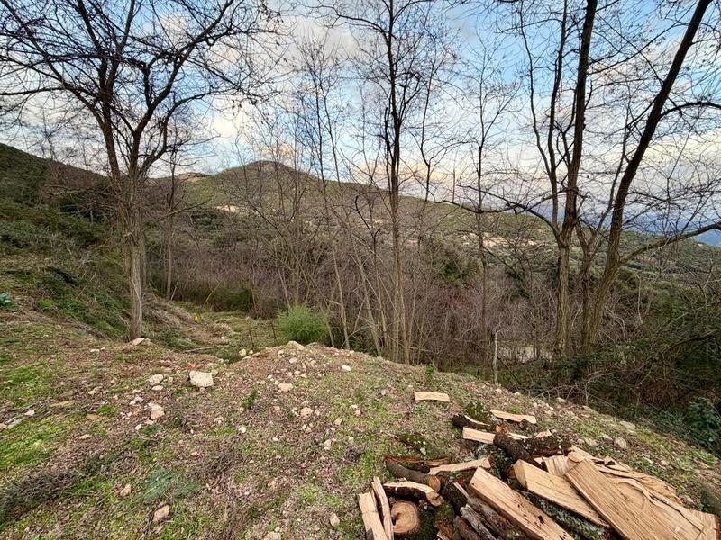 Terrain constructible - 1 500 m²